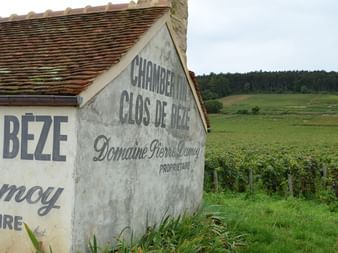 Stenbygning med malede skilte 'Clos de Bèze' og 'Domaine Henri Damoy' med udsigt over grønne vinrækker i Bourgogne landskabet.