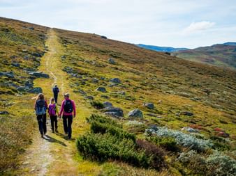 Fire vandrere med rygsække går opad på Kongevegen-stien gennem klippefyldt terræn med mos og lav vegetation under blå himmel.