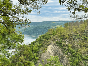 Naturskøn udsigt over Rhindalen fra Rheinsteig, indrammet af grønne grene, med skovklædte skrænter og floden nedenfor.