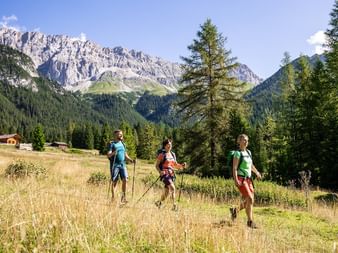 Tre vandrare med vandringsstavar korsar en solig alpin äng med fjällstugor, tallskogar och dramatiska klippiga toppar i bakgrunden.
