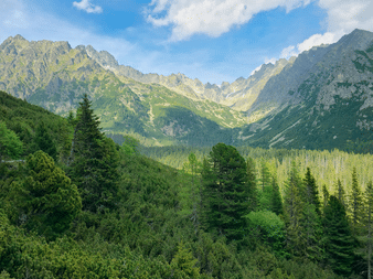Panoramaudsigt over Tatrabjergene i Slovakiet med takkede klippetoppe, en grøn skovklædt dal og nåletræer under blå himmel.
