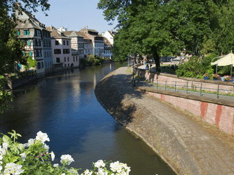 Kanal i Strasbourg kantet af farverige bindingsværkshuse. Træbevokset promenade med hvide blomster i forgrunden og udendørscafé til højre.