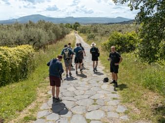 Group of hikers with backpacks walking on ancient stone-paved Via Francigena path through Italian countryside with mountains in background.