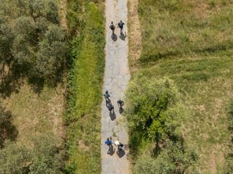 Aerial view of hikers walking on a white gravel path on the Via Francigena pilgrimage route, surrounded by green vegetation and trees.