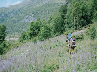 To vandrere med rygsække går gennem en vildblomstereng i Aurlandsdalen-dalen, Norge, med grønne bjerge i baggrunden.
