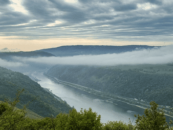 Panoramaudsigt over Rhinen, der slynger sig gennem en dal med skovklædte bakker. Morgentåge driver hen over landskabet under en skyet himmel.