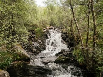 Lille vandfald, der strømmer over mørke klipper gennem frodig grøn skov på West Highland Way i Skotland.
