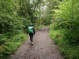 Vandrer med grøn rygsæk på grusvej gennem frodig grøn skov på West Highland Way i Skotland.