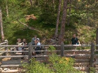 Gruppe vandrere sidder og hviler på en træbro med gelænder i en tæt grøn skov. Broen krydser over et stenede område.