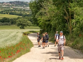 Group of hikers with backpacks walking on dirt road through Italian countryside with red poppies, green fields, and village on hillside.