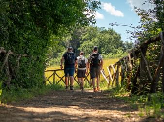 Three hikers with backpacks walking on a dirt path through green vegetation. A wooden fence frames the trail under a sunny sky.