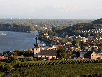 Luftfoto af Nierstein med kirketårn, vingårde i forgrunden og Rhinen, der løber gennem landskabet i blødt aftenlys.