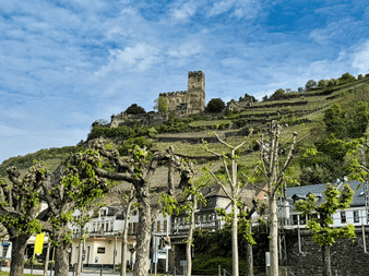 Middelalderlig slotsruin på en bakke dækket af terrasserede vingårde langs Rhinen. Nedenfor beskårne træer og traditionelle bygninger med tysk flag.