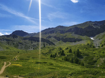 Snoet sti gennem grøn alpin dal med gule vilde blomster i Tour du Queyras, Frankrig. Bjerge og spredte træer under blå himmel.