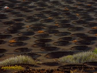 Aerial view of Lanzarote's unique volcanic vineyard with hundreds of circular holes in dark volcanic soil, each protecting individual vines.