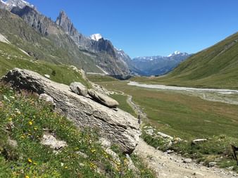 Hiker with backpack standing in alpine valley with wildflowers, large rocks, and snow-capped Mont Blanc peaks under clear blue sky.
