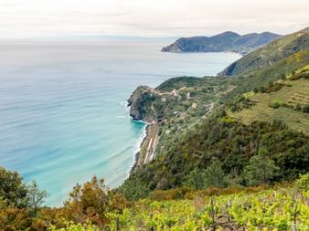 Aerial view of Cinque Terre coastline showing terraced vineyards on steep hillsides, turquoise Mediterranean Sea, and coastal village below.