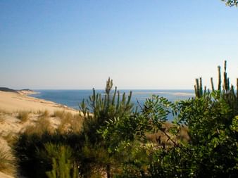 Sandy coastal dunes with green vegetation in foreground overlooking blue ocean waters under clear sky near Bordeaux, France.