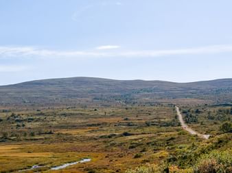Vidstrakt norsk tundra med bølgende åser, høstfarger og en rett grusvei gjennom landskapet under skyet himmel.