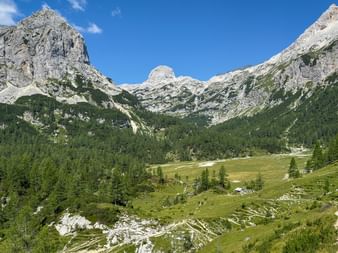 Alpindal i Juliska alperna med vandringsstig, gröna ängar och klippiga toppar under blå himmel. Tät skog täcker nedre sluttningarna.