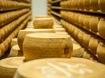Rækker af Parmigiano-Reggiano-oste, der modnes på trähylder i et lagerrum. Ostene har mærkede skorper og er stablet på begge sider.