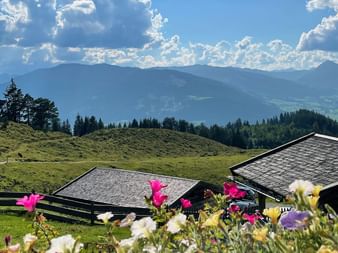 Colorful wildflowers in foreground with traditional alpine huts on green meadow. Mountain ranges and forests visible under blue sky with clouds.