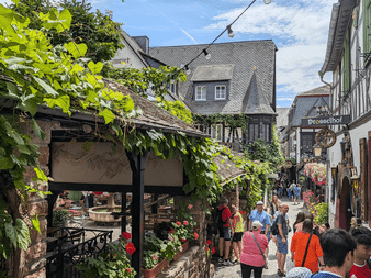 Smal brostensbelagt gade i Rüdesheim med traditionelle bindingsværkshuse, grønne vinranker og turister ved butikker.