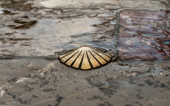 Camino de Santiago
