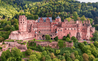 Heidelberg Slots ruiner i rød sandsten på en skråning omgivet af tæt grøn skov. Slottet har tårne, mure og renæssancearkitektur.