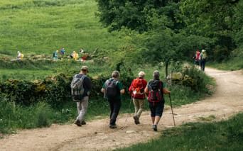Caminoen fra Sarria til Santiago