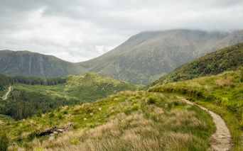 Snoet vandrerute gennem græsklædt bakke på West Highland Way, Skotland. Bjerge med lave skyer og skovklædt dal synlig i baggrunden.