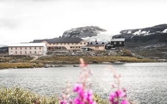 DNT Finse hytter ved en bjergsø på Hardangervidda, Norge. Lyserøde blomster i forgrunden, snedækte bjerge bagved.