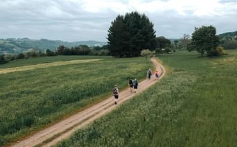 Walking the Camino from Sarria to Santiago
