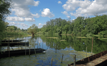 Gamle træpramme fortøjet langs en rolig flod nær Strasbourg, omgivet af grønne træer under blå himmel med hvide skyer.