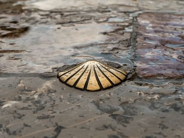 Bronze pilgrimsmusling markering indlejret i vådt brolægning på pilgrimsruten Camino de Santiago.