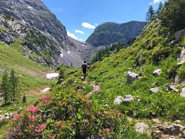 Vandrer med rygsæk går gennem grønt alpedal i Berchtesgaden med lyserøde vilde blomster, klippefyldte toppe og blå himmel.