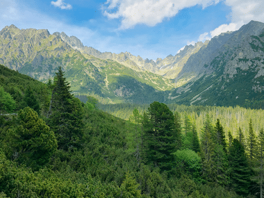 Panoramaudsigt over Tatrabjergene i Slovakiet med takkede klippetoppe, en grøn skovklædt dal og nåletræer under blå himmel.