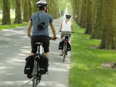 Två cyklister med hjälmar och cykelväskor cyklar på en asfalterad väg kantad av höga träd som bildar en naturlig tunnel i Champagne.
