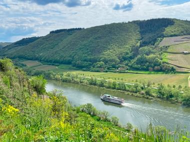 Malerisk udsigt over Mosel floden, der slynger sig gennem grønne bakker med terrasserede vingårde. En passagerbåd sejler på vandet.
