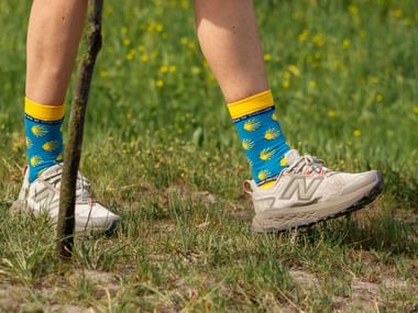 Pilgrims ben med blå sokker med gult muslingemønster og beige sneakers, holder vandrestav på en græssti.
