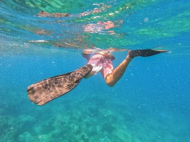Undervandsbillede af snorkler i lyserødt badetøj og svømmefødder, der dykker i krystalklart turkisblåt vand med sollys.