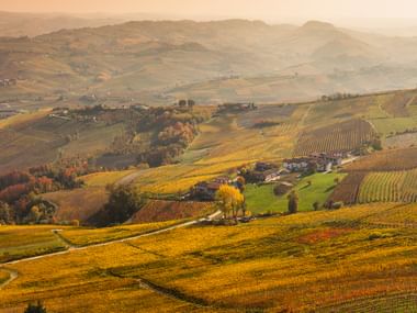 Bakkede bakker dækket af gyldne efterårsvingårde i varmt aftenlys. En lille landsby ligger i dalen omgivet af farverige træer.