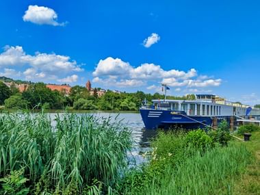 MS Casanova, et blåt og hvidt flodkrydstogtskib, fortøjet langs en flodbred omgivet af højt grønt siv under blå himmel.