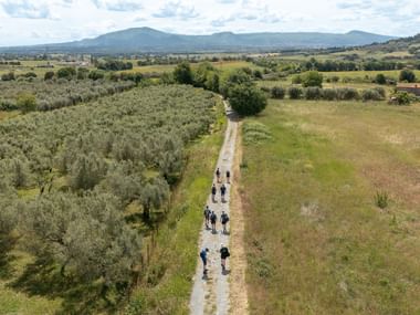Luftfoto af vandrere på Via Francigena-stien gennem italiensk landskab med olivenlunde, marker og bjerge i det fjerne.