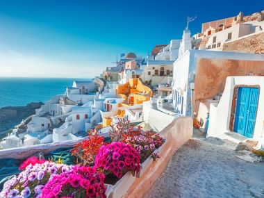 Malerisk udsigt over Santorinis hvidkalkede bygninger, der strækker sig ned mod det blå Ægæiske hav, med farverige bougainvillea.