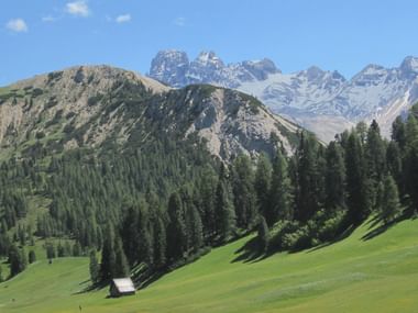 Panoramautsikt över Dolomiternas dramatiska klippiga toppar i bakgrunden, gröna böljande ängar i förgrunden och täta skogar.