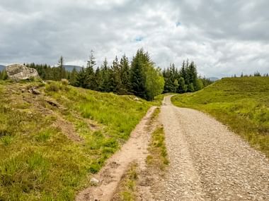 Bred grusvej, der slynger sig gennem grønne bakker på West Highland Way, Skotland. Nåleskov og overskyet himmel i baggrunden.