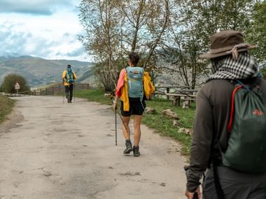 Tre vandrere med rygsække og vandrestave på en landlig vej langs Camino de Santiago, omgivet af bakker og træer.