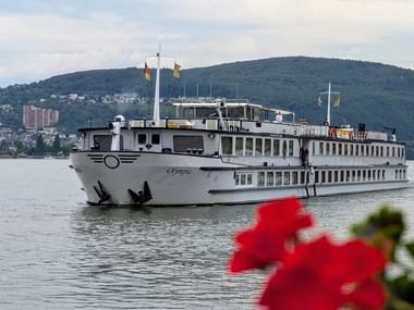 Hvidt passagerskib MS Olympia sejlende på stille vand med skovklædte bakker og bygninger i baggrunden. Røde blomster i forgrunden.