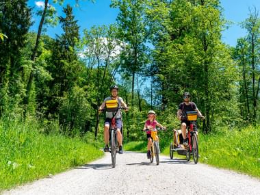 Familie på fire cykler på asfalteret sti gennem grønt landskab. Forældre og to børn på cykler omgivet af frodige træer og græs.